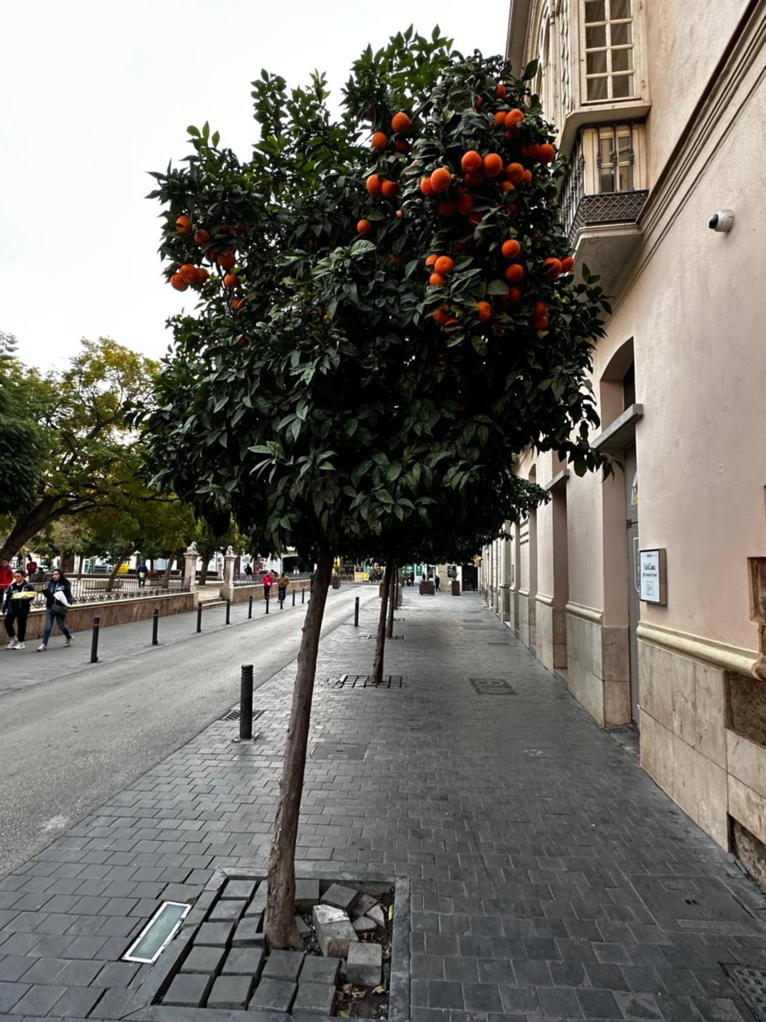 Malaga'S Secret 아파트 외부 사진