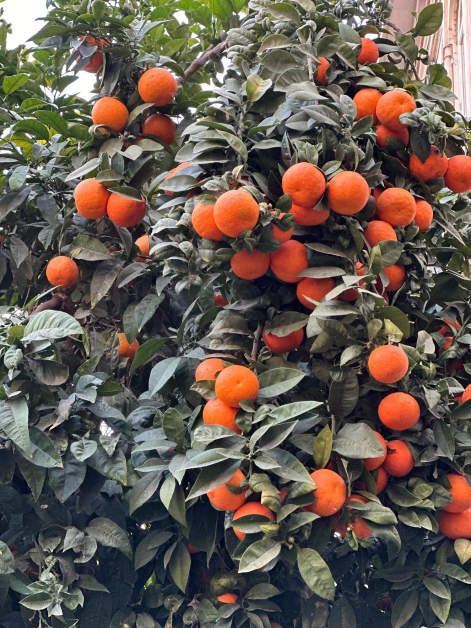 Malaga'S Secret 아파트 외부 사진